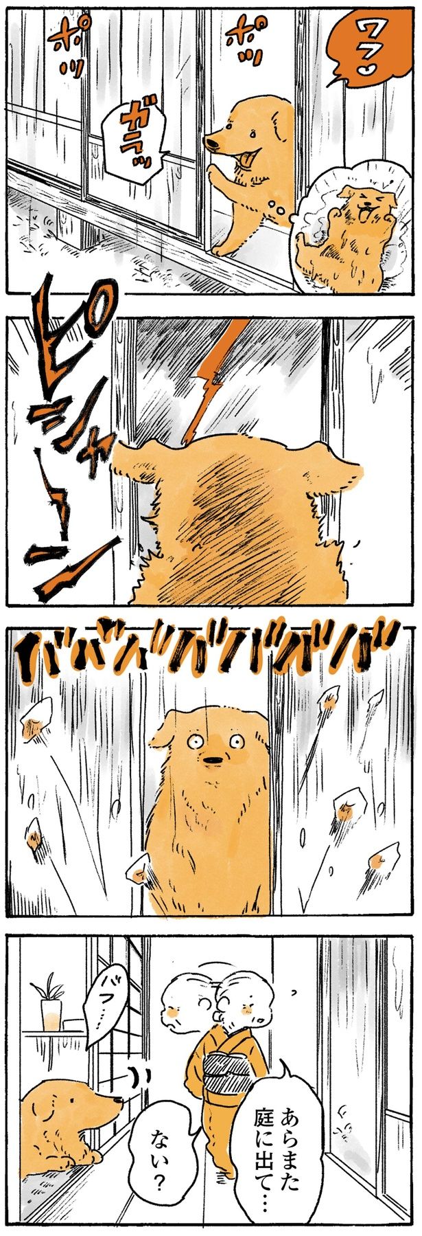 庭に出て…ない？ （C）佐倉イサミ／KADOKAWA