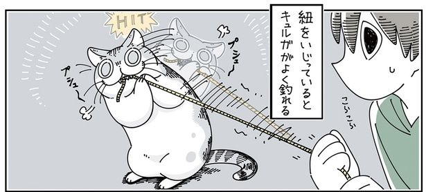 紐に大興奮 （C）キュルZ／KADOKAWA