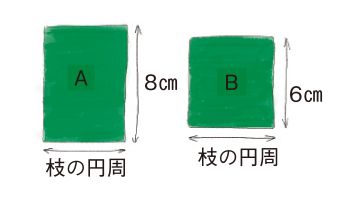 中川政七商店に教わる「枝で作るミニ・クリスマスツリー」の作り方【最新号ちょっと見せ】の画像2
