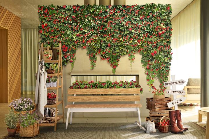 レセプション_いちご農園の空間