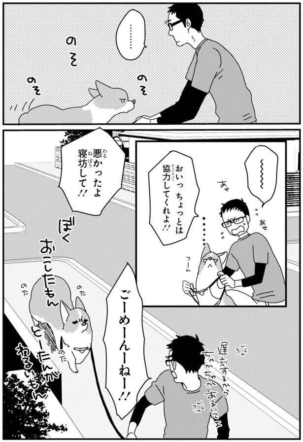 ごーめーんーねー！！ (C)らくだ／KADOKAWA