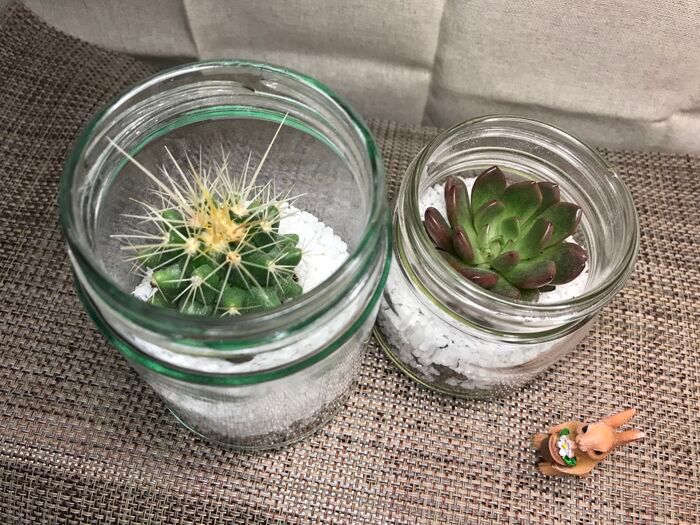 眠らせてた『空きビン』の使い道3選！なかに入れると便利なものとは→試して納得♡