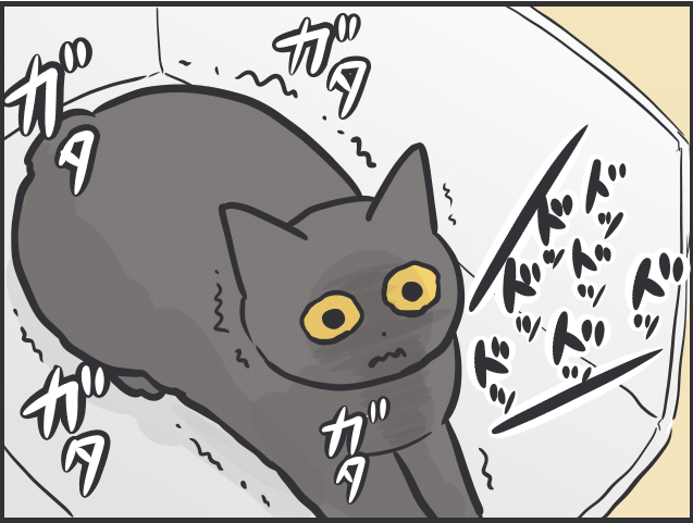 猫を飼うハードル3.PNG