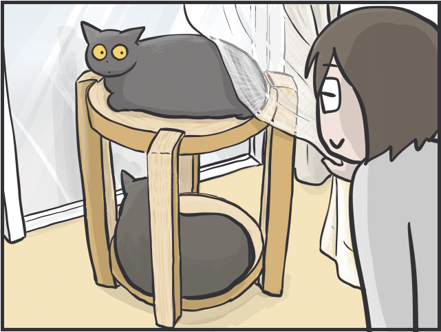 猫を飼うハードル8.PNG
