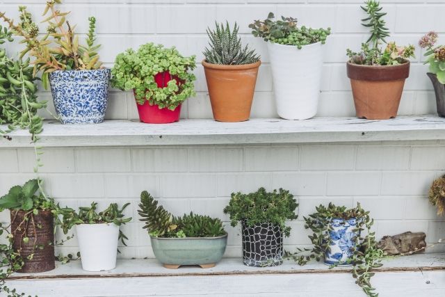 クリスマスカード