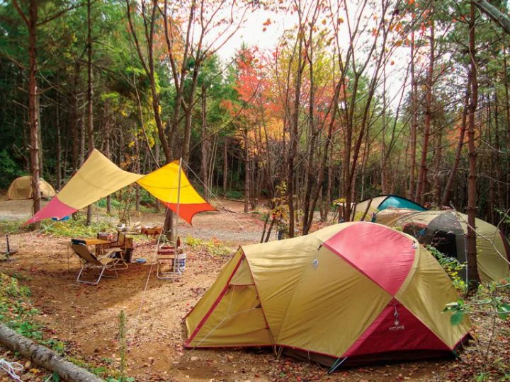 天然のプラネタリウム！星空を楽しめるキャンプ場15選【長野県】
