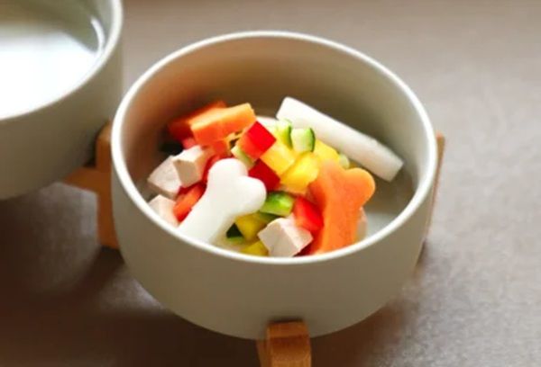 【大阪府大阪市】愛犬と贅沢なひとときを！ヒルトン大阪にドッグルームプランが登場