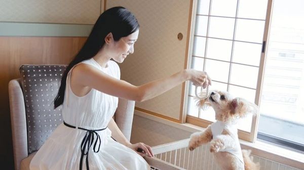 【大阪府大阪市】愛犬と贅沢なひとときを！ヒルトン大阪にドッグルームプランが登場