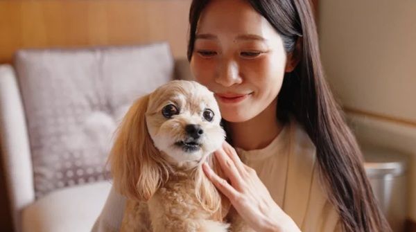 【大阪府大阪市】愛犬と贅沢なひとときを！ヒルトン大阪にドッグルームプランが登場