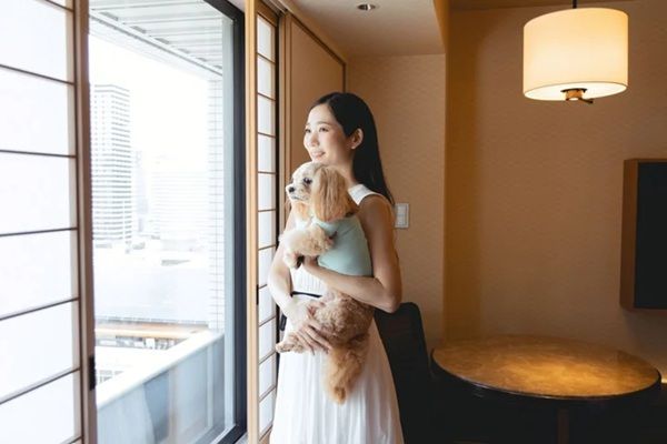 【大阪府大阪市】愛犬と贅沢なひとときを！ヒルトン大阪にドッグルームプランが登場
