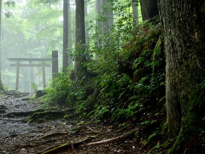 All About ニュース編集部が全国250人を対象に実施した「好きなパワースポットに関するアンケート」の調査結果から、好き&行ってみたい「三重県のパワースポット」ランキングを発表！ 2位「熊野古道」を抑えた1位は？