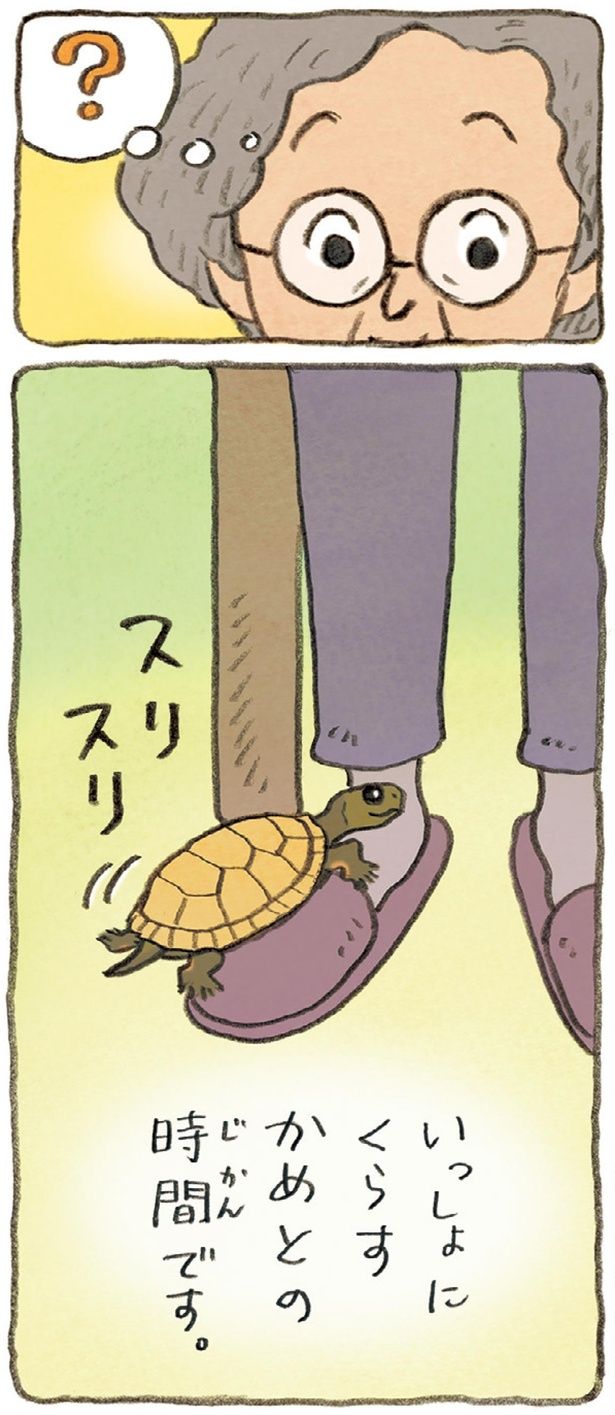 いっしょにくらすかめとの時間です （C）やましたこうへい／KADOKAWA