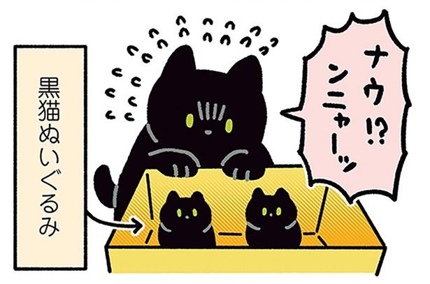 子ねこ！？大丈夫かー！？ （C）AKR／KADOKAWA