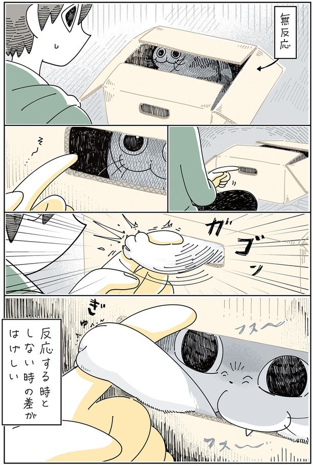 ガゴッ!! （C）キュルZ／KADOKAWA