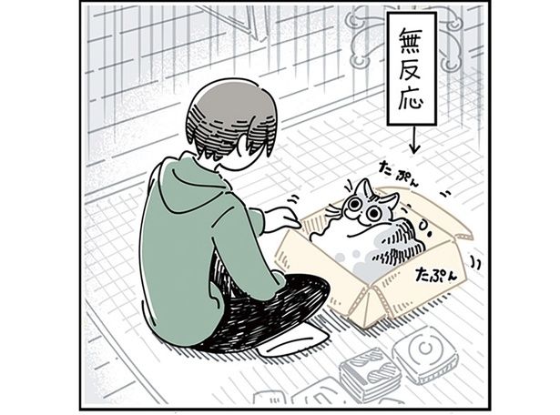 構ってみるも… （C）キュルZ／KADOKAWA