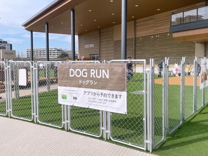 新しいホームセンター、はじまる。ロボット案内に24時間無人店『カインズ 吉川美南店』に未来が来てました！【現地レポ】