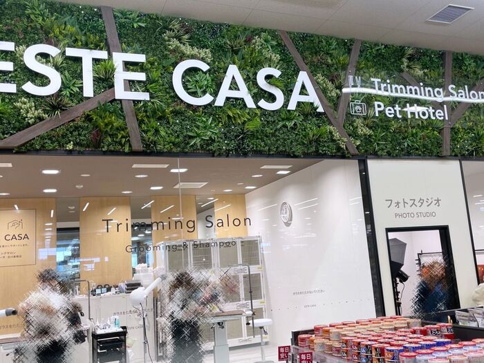 新しいホームセンター、はじまる。ロボット案内に24時間無人店『カインズ 吉川美南店』に未来が来てました！【現地レポ】