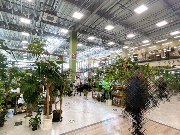 新しいホームセンター、はじまる。ロボット案内に24時間無人店『カインズ 吉川美南店』に未来が来てました！【現地レポ】