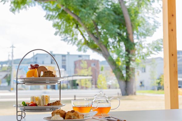 【京都府京都市】オープニングイベント開催！南岩本公園に「KYOTO SOUTH PARK」誕生