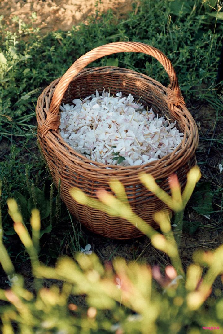 シャネル N°5 パルファム 摘まれたジャスミン