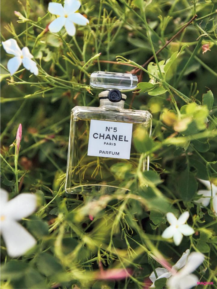 シャネル N°5 パルファムとジャスミン畑