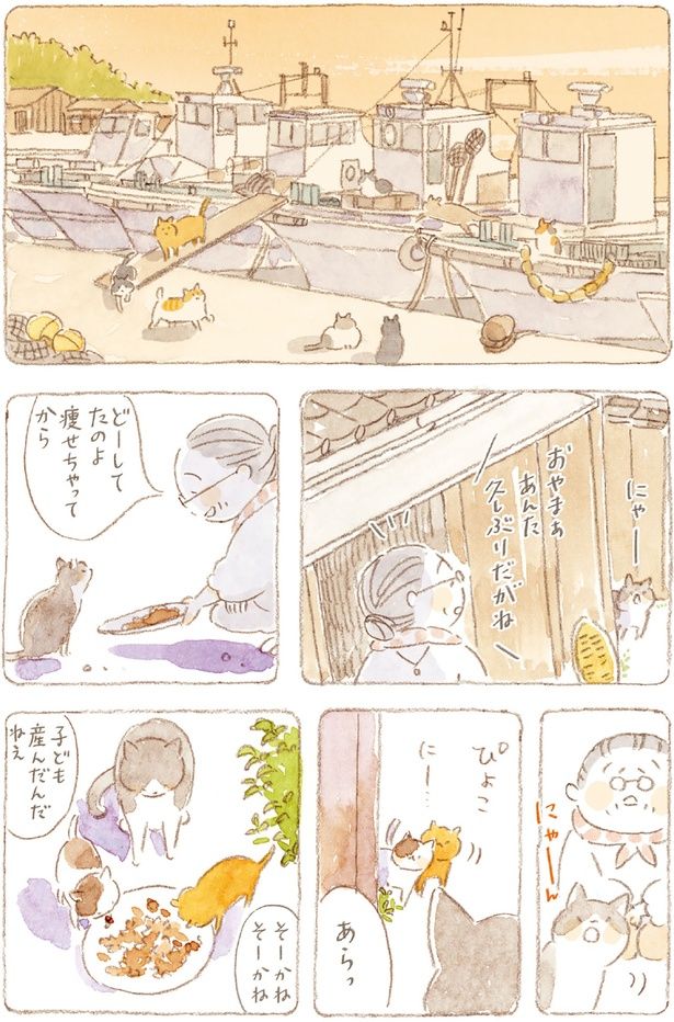 どーしてたのよ （C）ねこまき（ミューズワーク）／KADOKAWA
