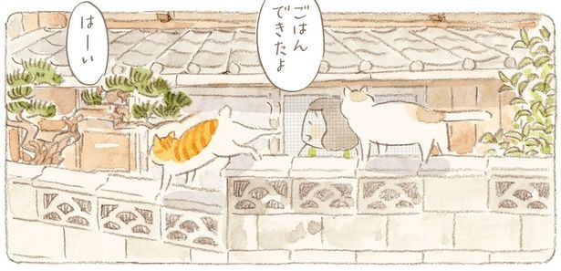 ごはんできたよ （C）ねこまき（ミューズワーク）／KADOKAWA
