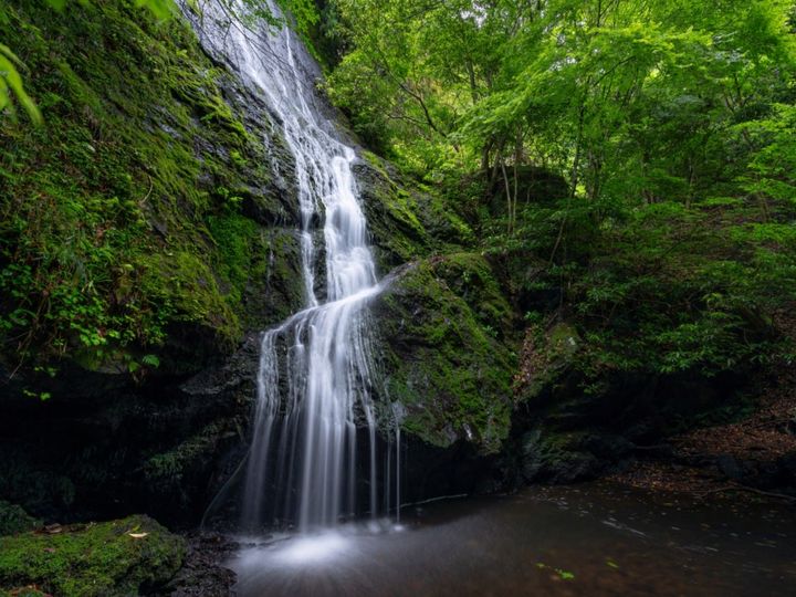 All About ニュース編集部が全国250人を対象に実施した「長期休みに行きたい穴場秘境に関するアンケート」の調査結果から、長期休みに行きたい「京都府の穴場秘境」ランキングを発表！ 2位「琴滝」を抑えた1位は？