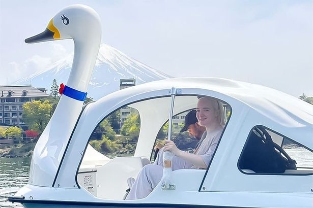 人気のスワンボート体験 ※画像はイメージ