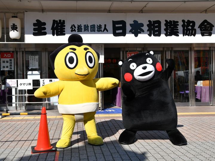 九州場所にやってきたモン＝11月23日、福岡市