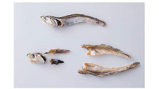 煮干しの下処理 （C）たかせ さと美、広瀬貴子／KADOKAWA