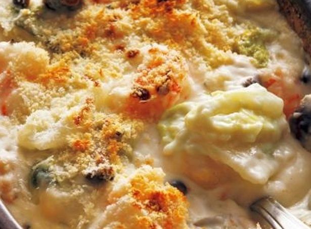 ホワイトソースが白菜にからんでとろ～り （C）KADOKAWA