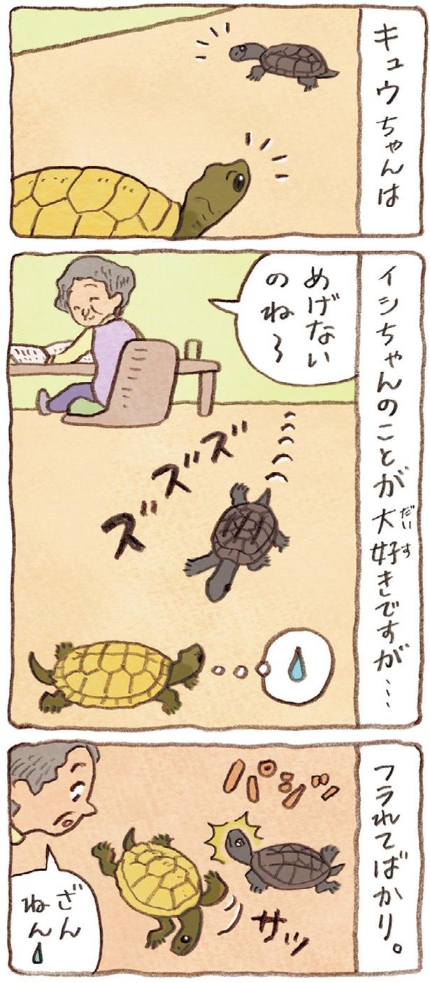 めげないのね～ （C）やましたこうへい／KADOKAWA