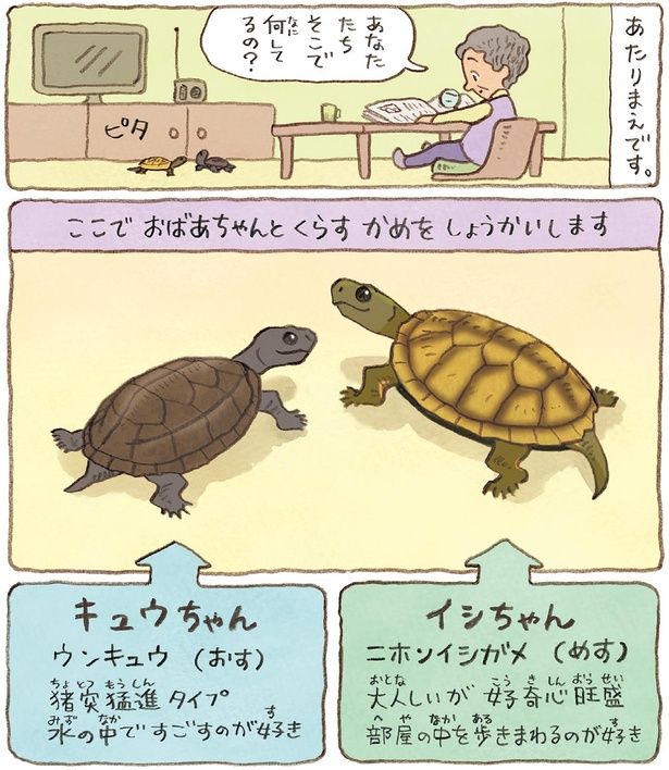 あたりまえです （C）やましたこうへい／KADOKAWA