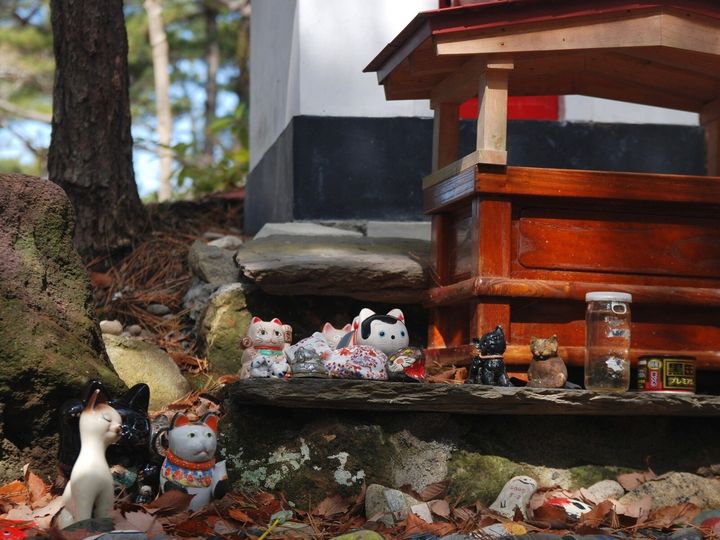 All About ニュース編集部は、全国10～60代の男女250人を対象に「好きなパワースポット」に関する独自のアンケート調査を実施。好き＆行ってみたい「宮城県のパワースポット」で1位に選ばれたのは？（サムネイル画像出典：PIXTA）