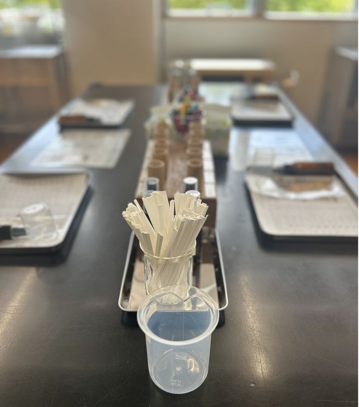 敏感肌の救世主、ナチュの森