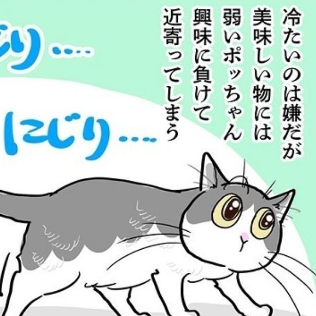 冷たいのは苦手だけど興味に負けてしまったポッちゃん