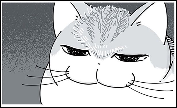 毛を逆立ててみた （C）キュルZ／KADOKAWA