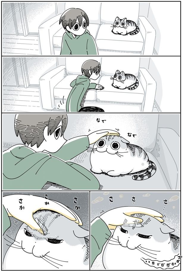 ネコのおでこの毛 （C）キュルZ／KADOKAWA