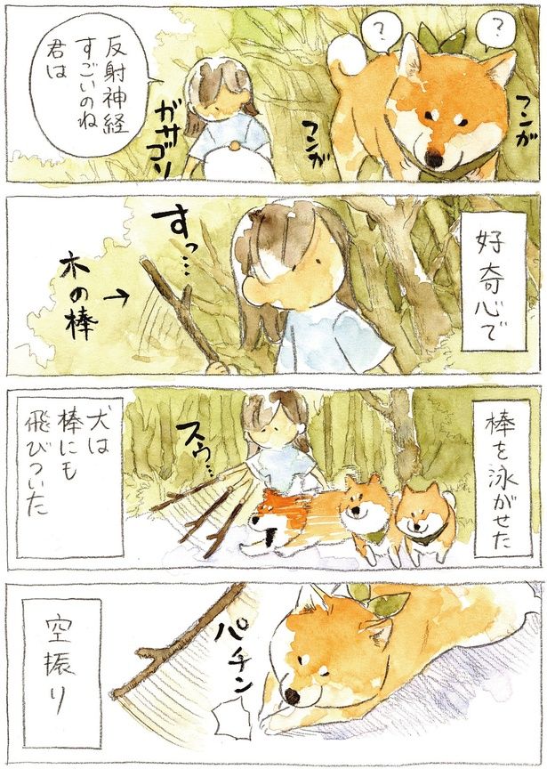 反射神経すごいのね君は （C）犬山スケッチ／KADOKAWA