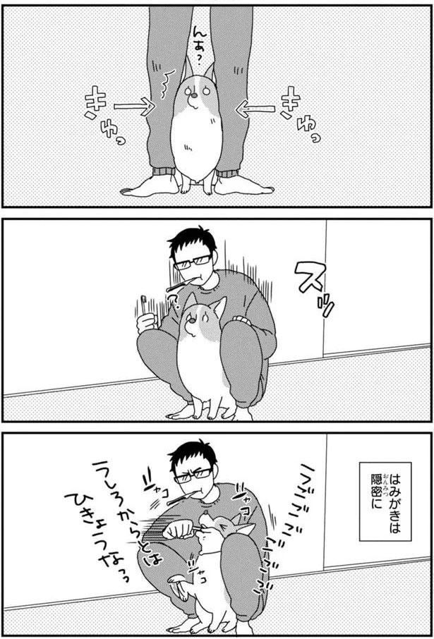 はみがきは隠密に (C)らくだ／KADOKAWA