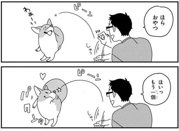 おやつはどこ？上手にキャッチできたと思っているワンコにクスッ (C)らくだ／KADOKAWA