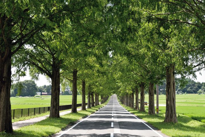 白バイ風CB1300で“防犯族”として活動守るは地域の交通安全！