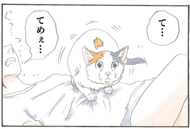 お腹の上にダイブ！からの… （C）にごたろ／KADOKAWA