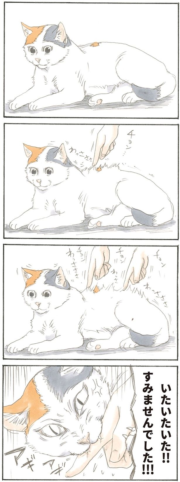 怒りスイッチ （C）にごたろ／KADOKAWA