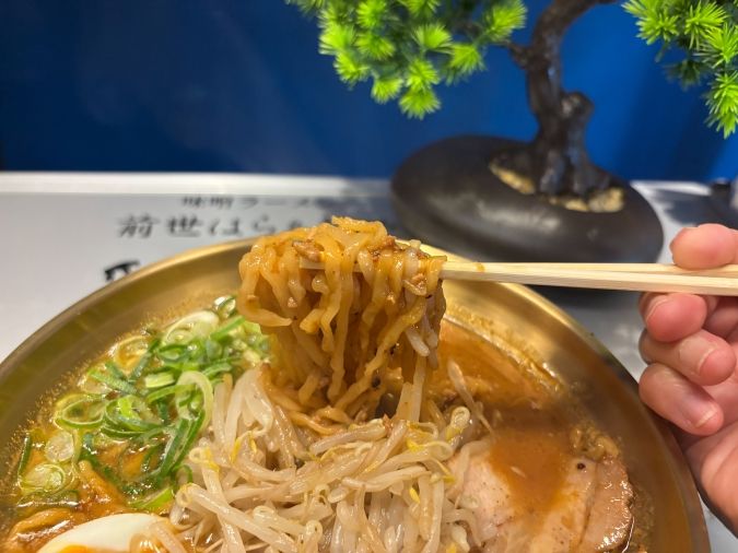 前世はらぁ麺や ちぢれ麺
