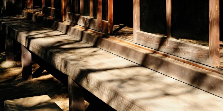 日の当たる窓際は景色だけでなく健康効果もあるのか？