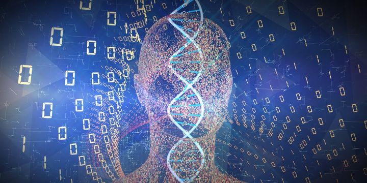 自信のズレは遺伝子の影？