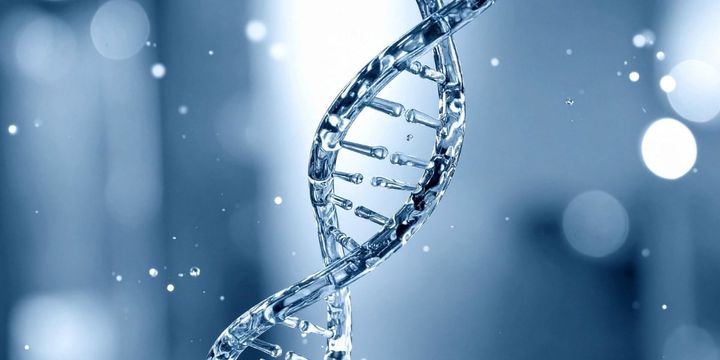 ダニング＝クルーガー効果の「自信のズレ」は４４％が遺伝のようだ