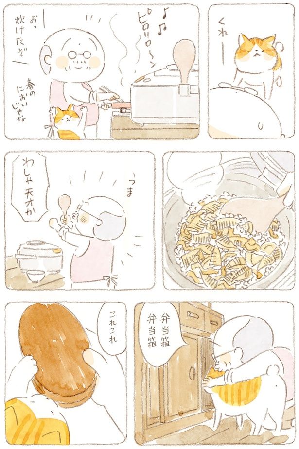 わしゃ天才か （C）ねこまき（ミューズワーク）／KADOKAWA